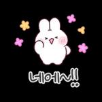 사랑뿜뿜 감사충만 토린이