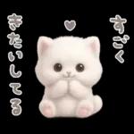 モフモフ白ネコ