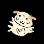 쌀개 쌀멍이에yo4