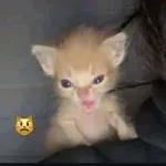 OLHA SÉRIO NA MORAL SINCERAMENTE SEM CONDIÇÕES