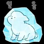 또리는 소심하지만 참지않지