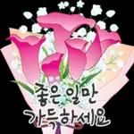 오늘은 꽃 주는 날