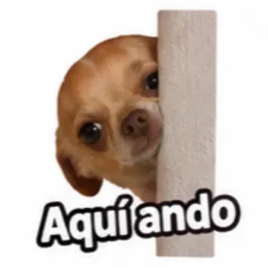 Aquí ando - getsticker.com