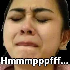 Hmmmmppppff... - getsticker.com