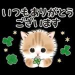 ゆるかわ☆ちび猫たちのスタンプ