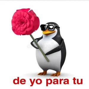 de yo para tu - getsticker.com