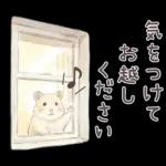 ゴールデンハムスター♡キンクマ