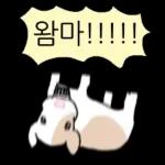 호기심 많은 소