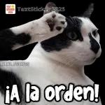¡A la orden!