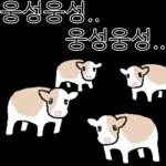 호기심 많은 소