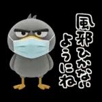 目ヂカラ強め☆ずんぐりなハシビロコウ②