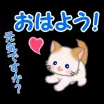 もふもふしっぽの子猫ちゃん　毎日使う言葉