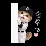 野球をする猫