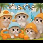 スコティッシュ猫 カラフル帽 夏 敬語