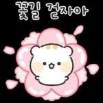 아기람꾸 : 벚꽃 에디션