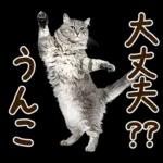 うんこ★リアルな猫