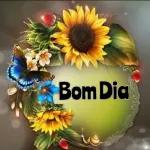 Boa • Noite