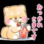 大人の夏❤️いやしばいぬ❤️柴犬