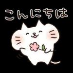 しろねこ♡まるのシンプルな日常挨拶