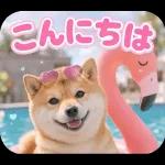 とびだす★夏 柴犬★わんこ♡犬