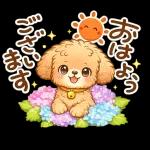 もふもふプードルの梅雨だより
