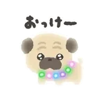 ぴかぴかわんわん