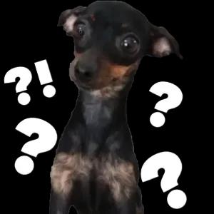 ?!? - getsticker.com