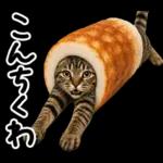 キジトラ猫飼いさんのダジャレ