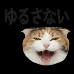 意外と使える！ネガティブなタイプの猫たち