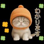 スコティッシュ猫 カラフル帽 夏 敬語