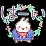 うさぎさん やさしい春の気づかい