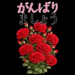 5月 春の花 大きくて見やすい挨拶スタンプ