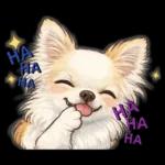 ブラン&プティ第2弾♡