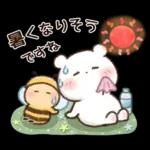 チロクマとアイビー　初夏