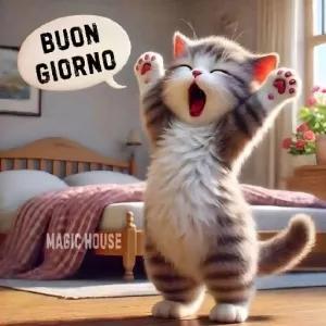 BUON GIORNO - getsticker.com