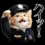 リアル猫警察官