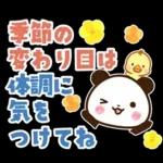 パンダ＆ひよこ 梅雨・夏