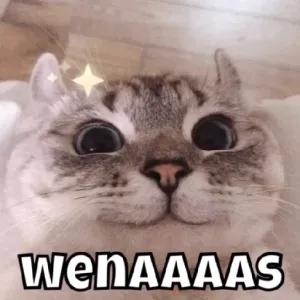 wenAAAS - getsticker.com