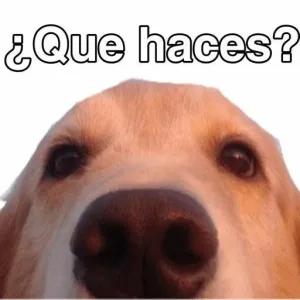 ¿Que haces? - getsticker.com
