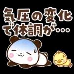 パンダ＆ひよこ 梅雨・夏