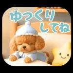 【秋冬】ずっと使える❤️日常会話 トイプー