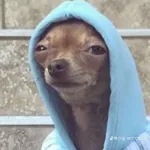 AMEIIII