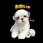 モカのスタンプ　幼少期編