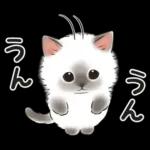 ゆるかわ☆ちび猫たちのスタンプ