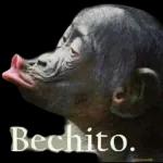 DEJA DE ESTAR ENVIANDO PENDEJADAS