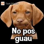 ¿QUIERES UNA COQUITA?