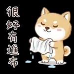 柴犬可愛諧音梗