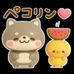 夏にかわいい♡豆柴日和