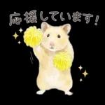 ゴールデンハムスター♡キンクマ