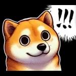 柴犬ワンダフル！！！！！